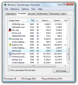 Windows Task Manager (Extended) (2)